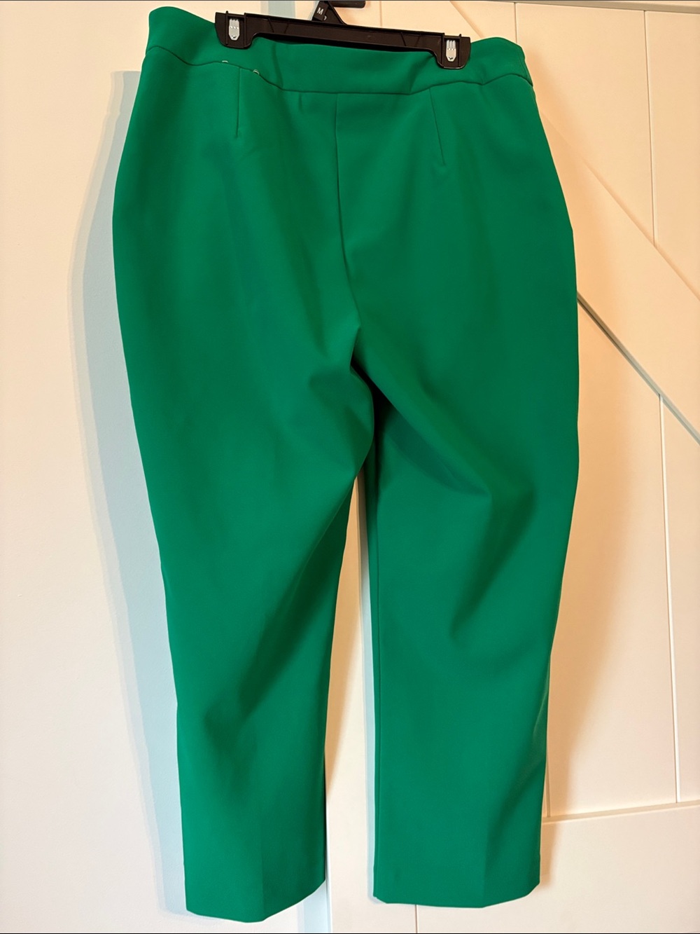 Rachel Zoe Emerald Green Straight-Leg Pants with Side Ring Details - Picture 3 of 4